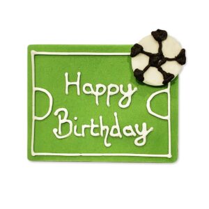 Football Pitch Happy Birthday Sugarcraft Plaque