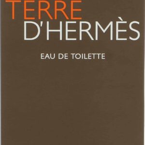 Terre D'Hermes by Hermes Eau De Toilette For Men, 100 ml